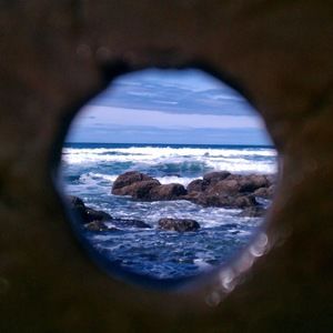 Meet your Posher, Tracey